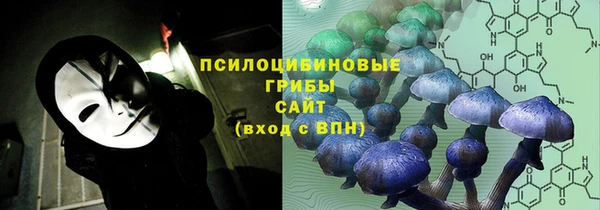 2c-b Абдулино