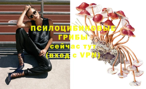 кокаин колумбия Абаза