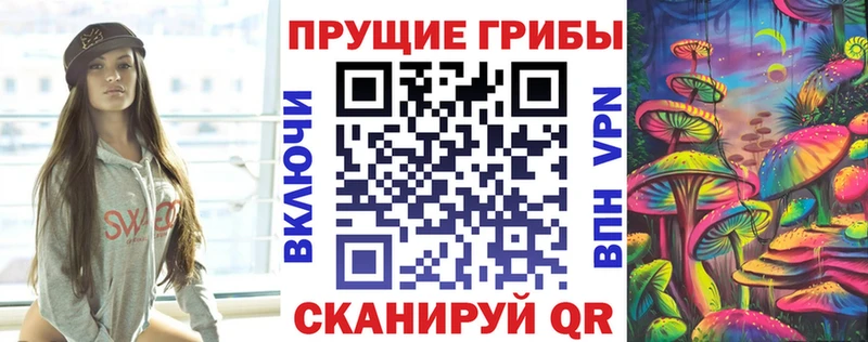 Псилоцибиновые грибы Psilocybine cubensis  OMG онион  Аксай  хочу наркоту 
